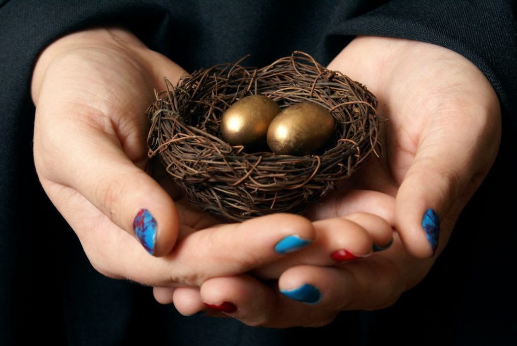 Nest Egg photo