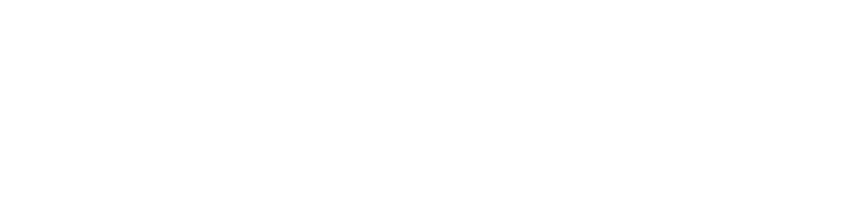 Leander ISD single-color logo in white, with "Leading to a Bright Future" tagline
